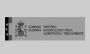 logo-ministerio